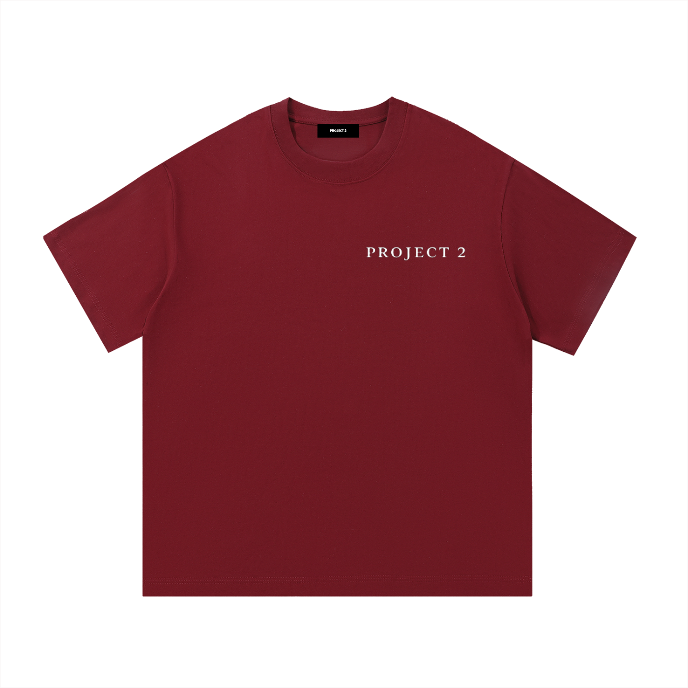 Project 2 Ambitions tee