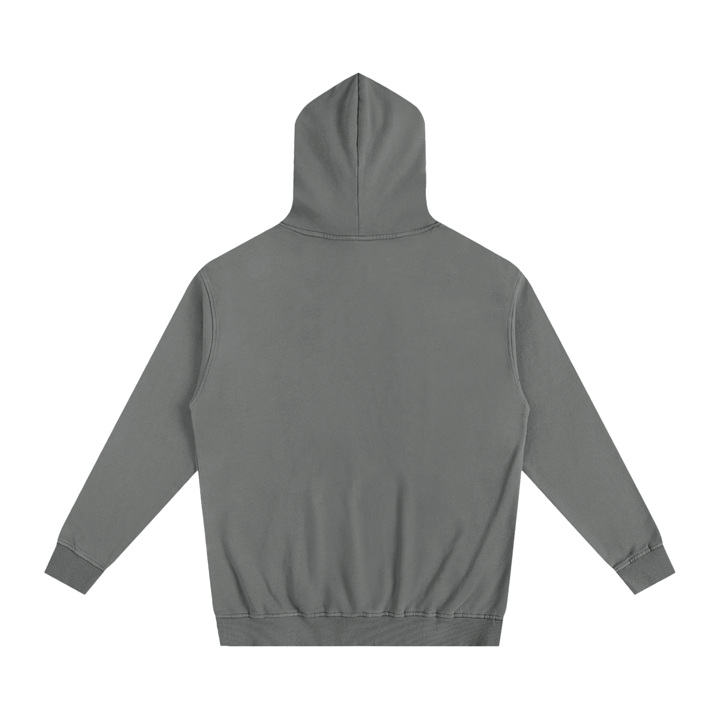 Project 2 Essential Hoodie