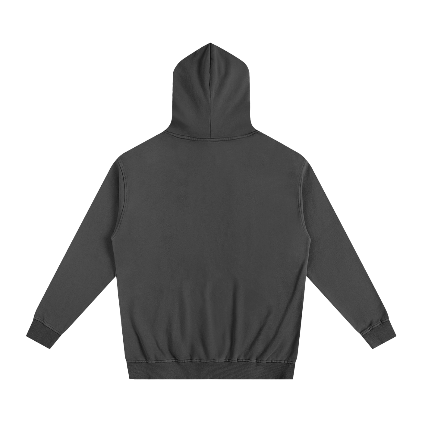 Project 2 Essential Hoodie