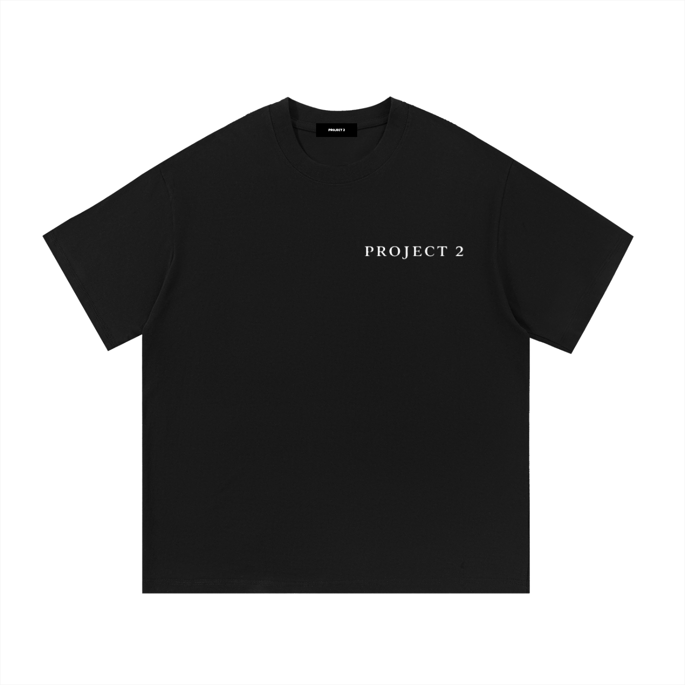 Project 2 Ambitions tee