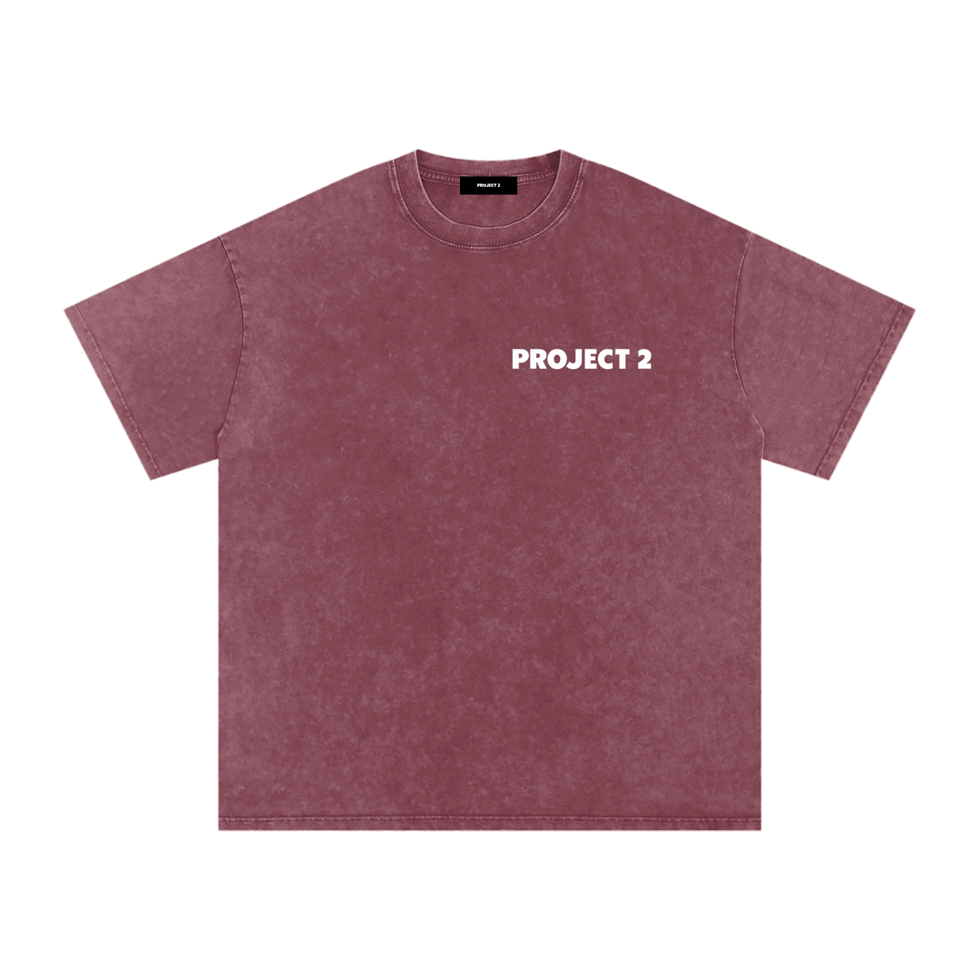 Project 2 Snow Washed Oversized Cotton T-Shirt