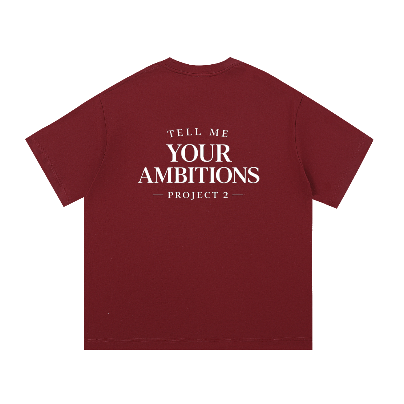 Project 2 Ambitions tee