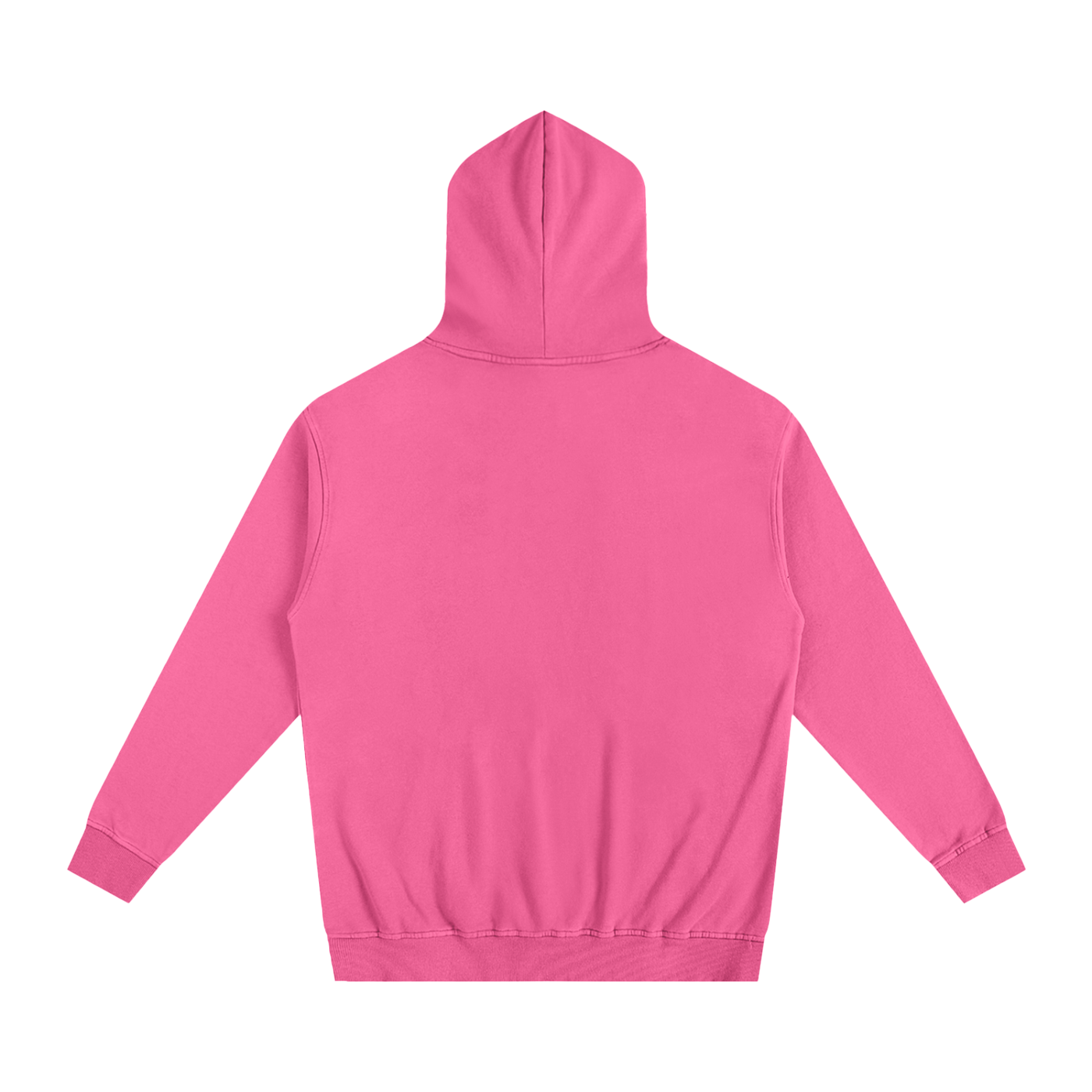 Project 2 Essential Hoodie